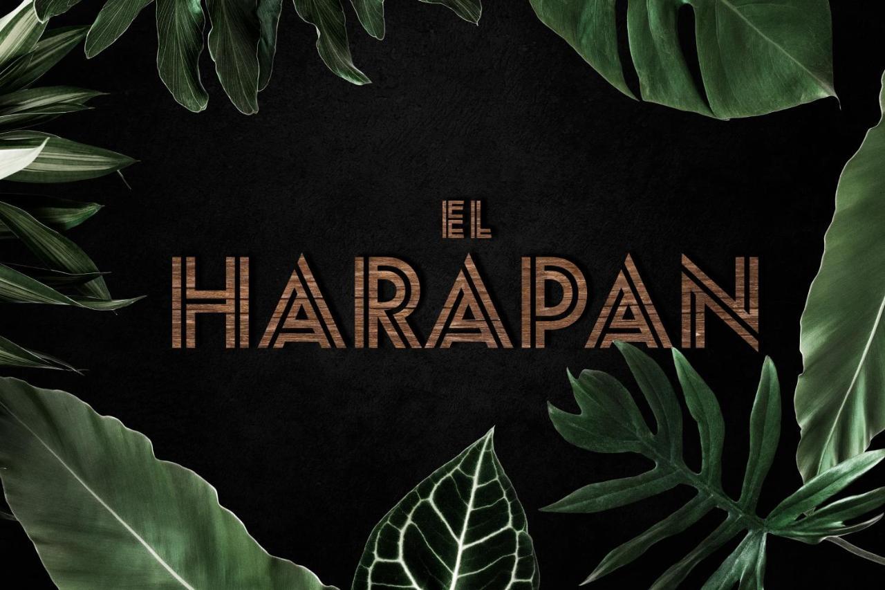 El Harapan - Sumergete En Una Selva A Pie De Playa - Grupo Querbes ヒホン エクステリア 写真